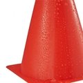 Training Cone