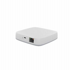 Zigbee Smart Hub