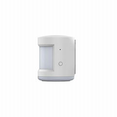 PIR Motion Sensor