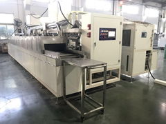 Automatic Continuous cleaning machine