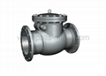 Swing Check Valve