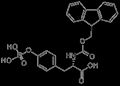 磷酸化氨基酸 1