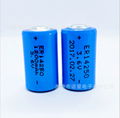 High capacity ER14250 lithium thionyl