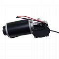 12V 24V 300 Watt Brush DC Motor Gear Box High Torque Micro Worm Gear Motor for A 3