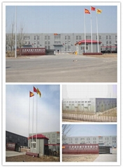 Tianjin Wellmade Scaffold Co., Ltd.