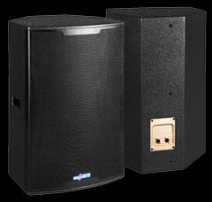 Two way loudspeaker BP-15