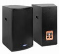 15 inch Two way loudspeaker MT-15