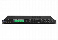 professional digital audio processor