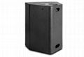 Two way coaxial loudspeaker CX-15 2