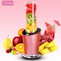 300W Electric Personal Blender Juicer 600ml Trian Jar 1