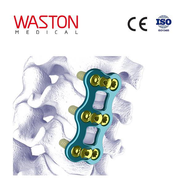 Orthopedic Implants Minimally Invasive Spinal CE WALEN Anterior cervical plate 