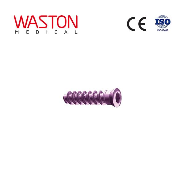 Revision screw