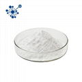 High Quality Glucoamylase Enzyme Powder 1