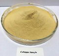 Food Grade Cellulase Enzyme