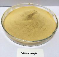 Food Grade Cellulase Enzyme