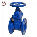 DIN Resilient Seated Gate Valve 1