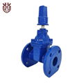 BS5163 Resilient Seated Gate Valve 1