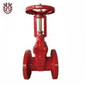 AWWA Resilient Seated Gate Valve