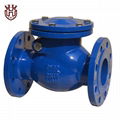 Swing check Valve 1