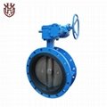 Double flanged Concentric butterfly valve