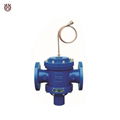 Differential Pressure Control Valve