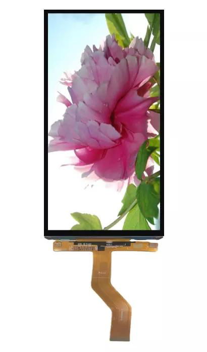 Mobile phone LCM 720*1560 TFT LCD Touch Panel 6.1''LCD Display Module 2