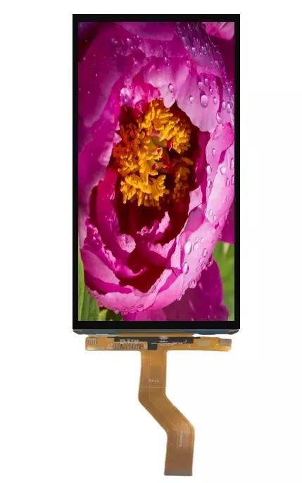 Mobile phone LCM 720*1560 TFT LCD Touch Panel 6.1''LCD Display Module 3
