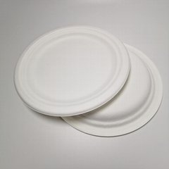 8" compostable plates Circular Disposable Biodegradable Bagasse Plates 