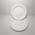 8" compostable plates Circular Disposable Biodegradable Bagasse Plates  2