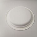 8" compostable plates Circular Disposable Biodegradable Bagasse Plates  3