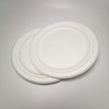 8" compostable plates Circular Disposable Biodegradable Bagasse Plates  4
