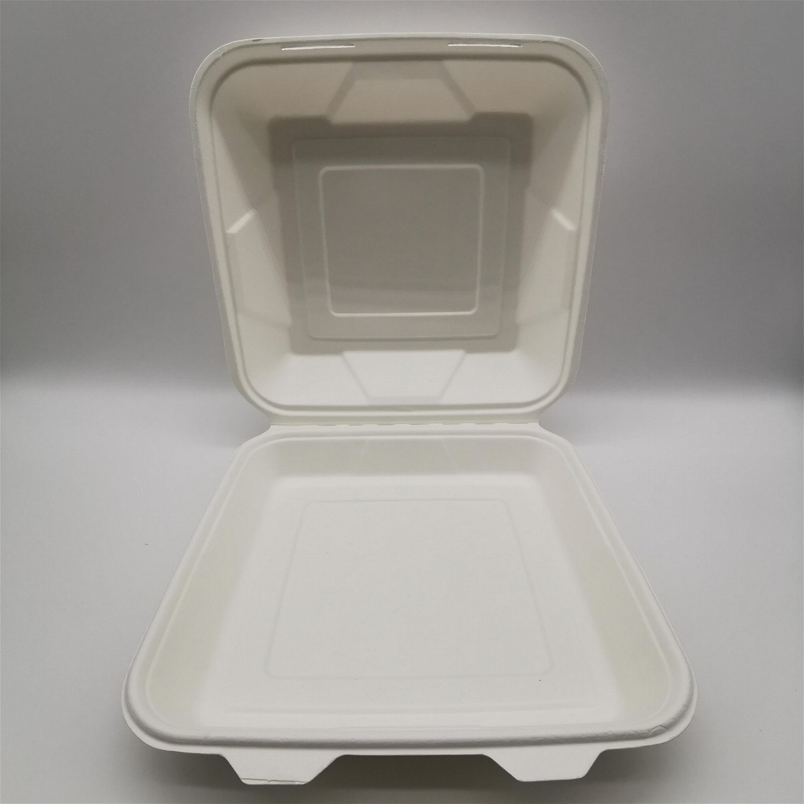 9 inch Biodegradable Bagasse Hamburger Box Food Packaging Clamshell Take away F 3