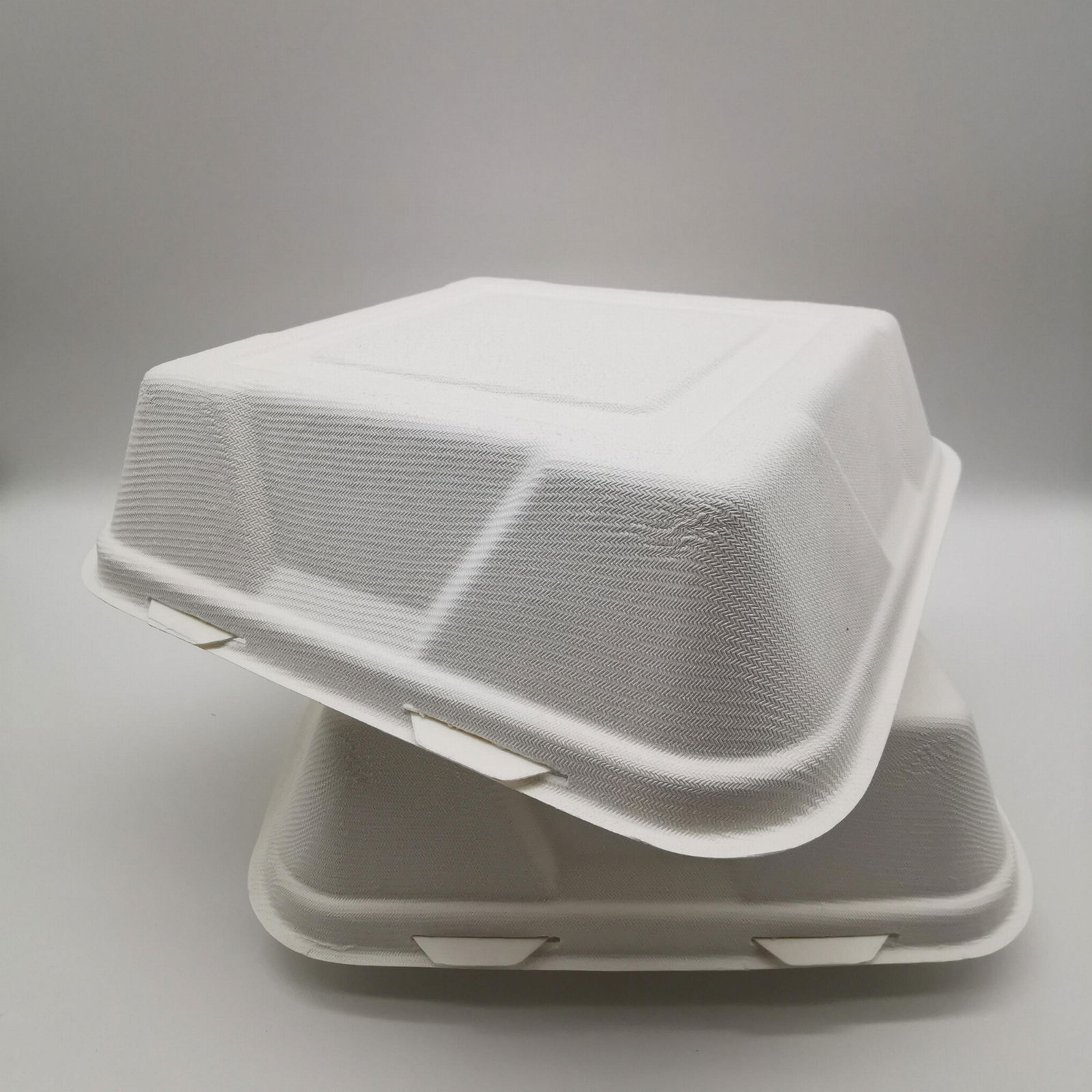 9 inch Biodegradable Bagasse Hamburger Box Food Packaging Clamshell Take away F 4