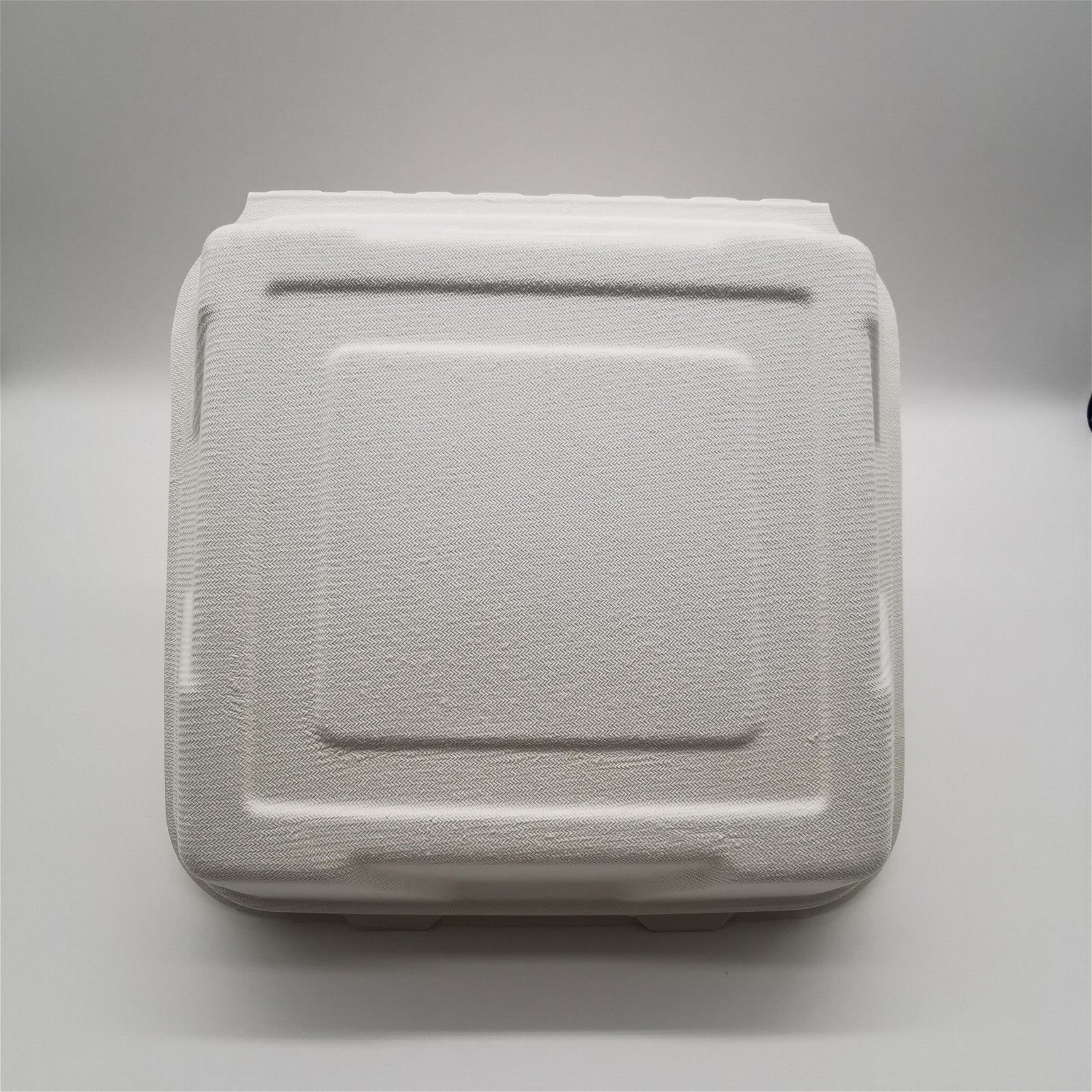 9 inch Biodegradable Bagasse Hamburger Box Food Packaging Clamshell Take away F 5