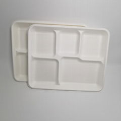 5 compartment disposable trays for fruit Fast food tray Biodegradable food conta