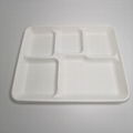 5 compartment disposable trays for fruit Fast food tray Biodegradable food conta 4