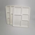 5 compartment disposable trays for fruit Fast food tray Biodegradable food conta 5