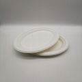 Environmentally friendly bagasse medium oval plate Disposable vegetable plate fr