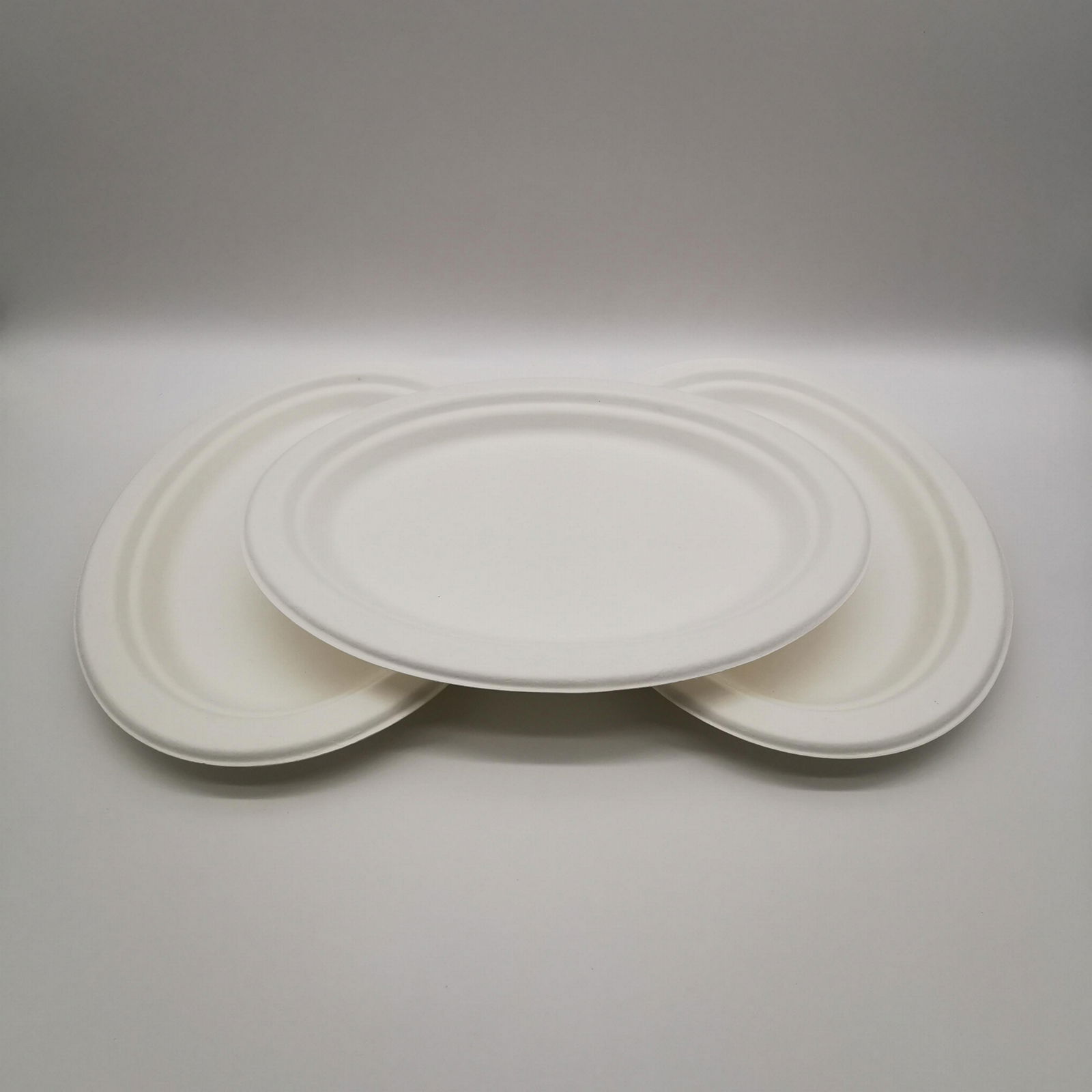 Environmentally friendly bagasse medium oval plate Disposable vegetable plate fr 2