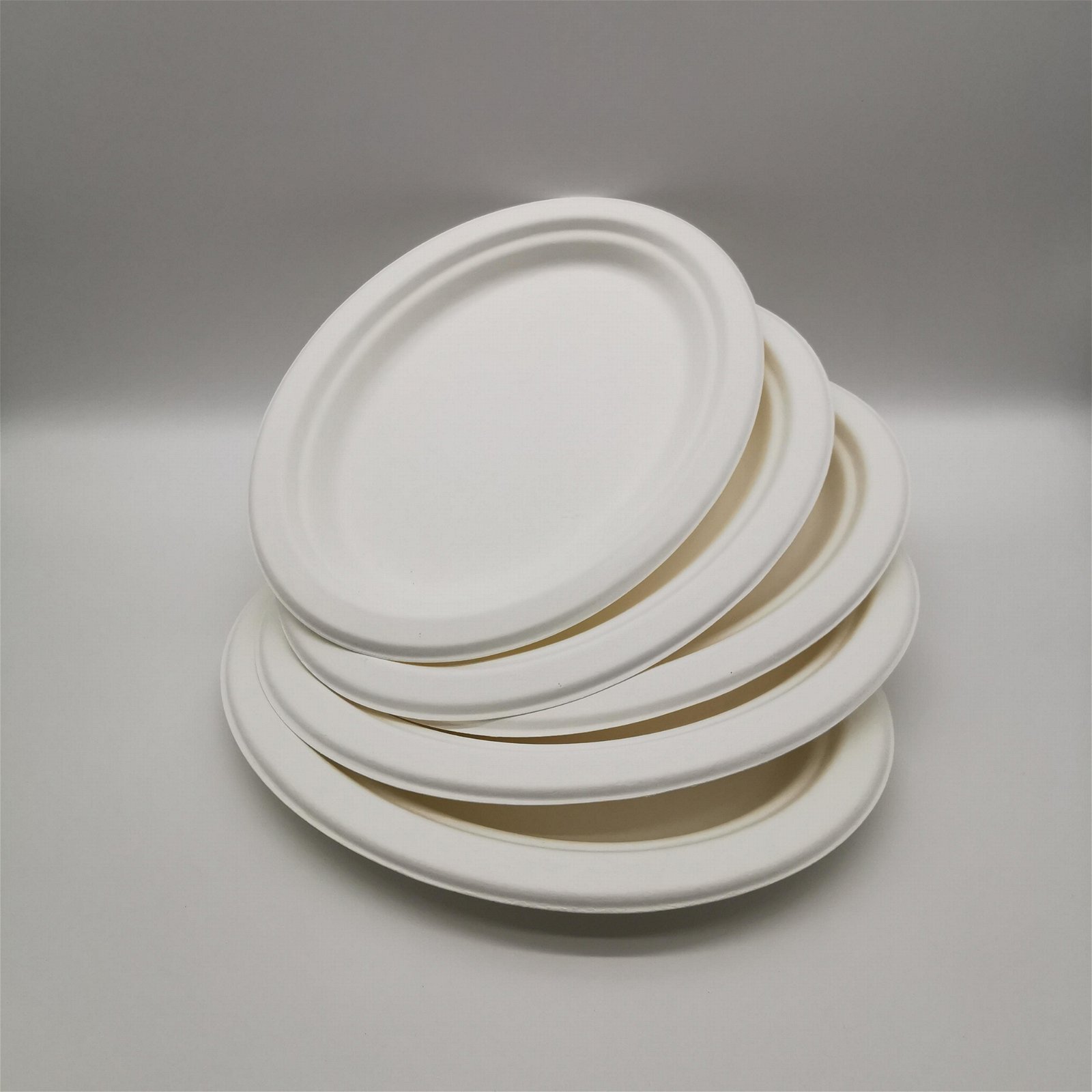 Environmentally friendly bagasse medium oval plate Disposable vegetable plate fr 3