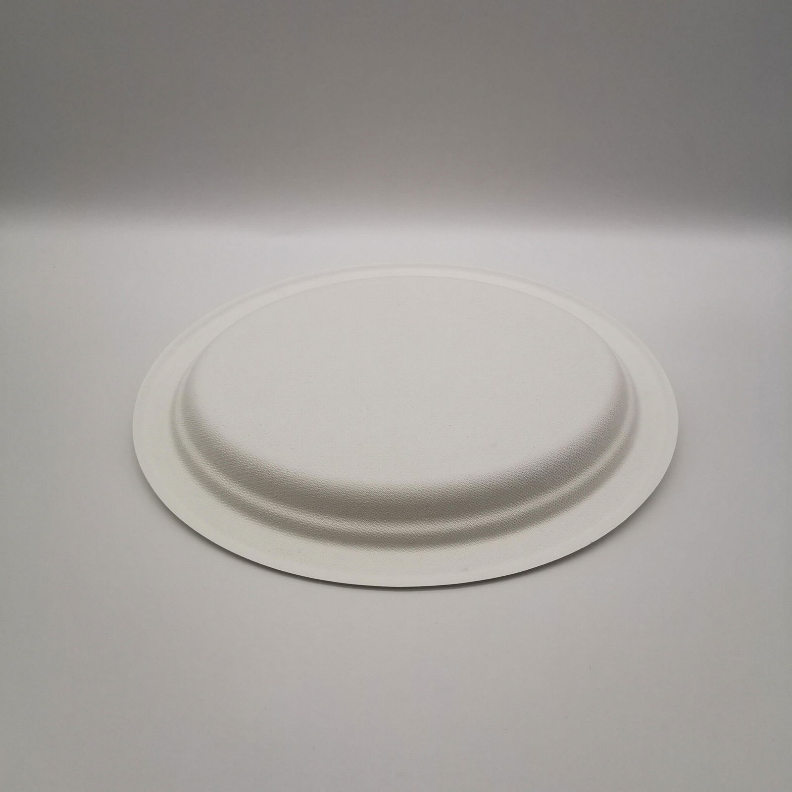 Environmentally friendly bagasse medium oval plate Disposable vegetable plate fr 4