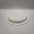 Environmentally friendly bagasse medium oval plate Disposable vegetable plate fr 4