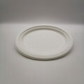 Environmentally friendly bagasse medium oval plate Disposable vegetable plate fr 5