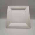 10 inch Hot Selling Square Sugarcane Bagasse Plates Biodegradable Disposable Squ