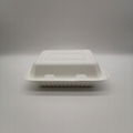 9"*6"Take Away Box for Restaurants  Bagasse Disposable Food Containers.