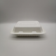 9"*6"Take Away Box for Restaurants  Bagasse Disposable Food Containers.