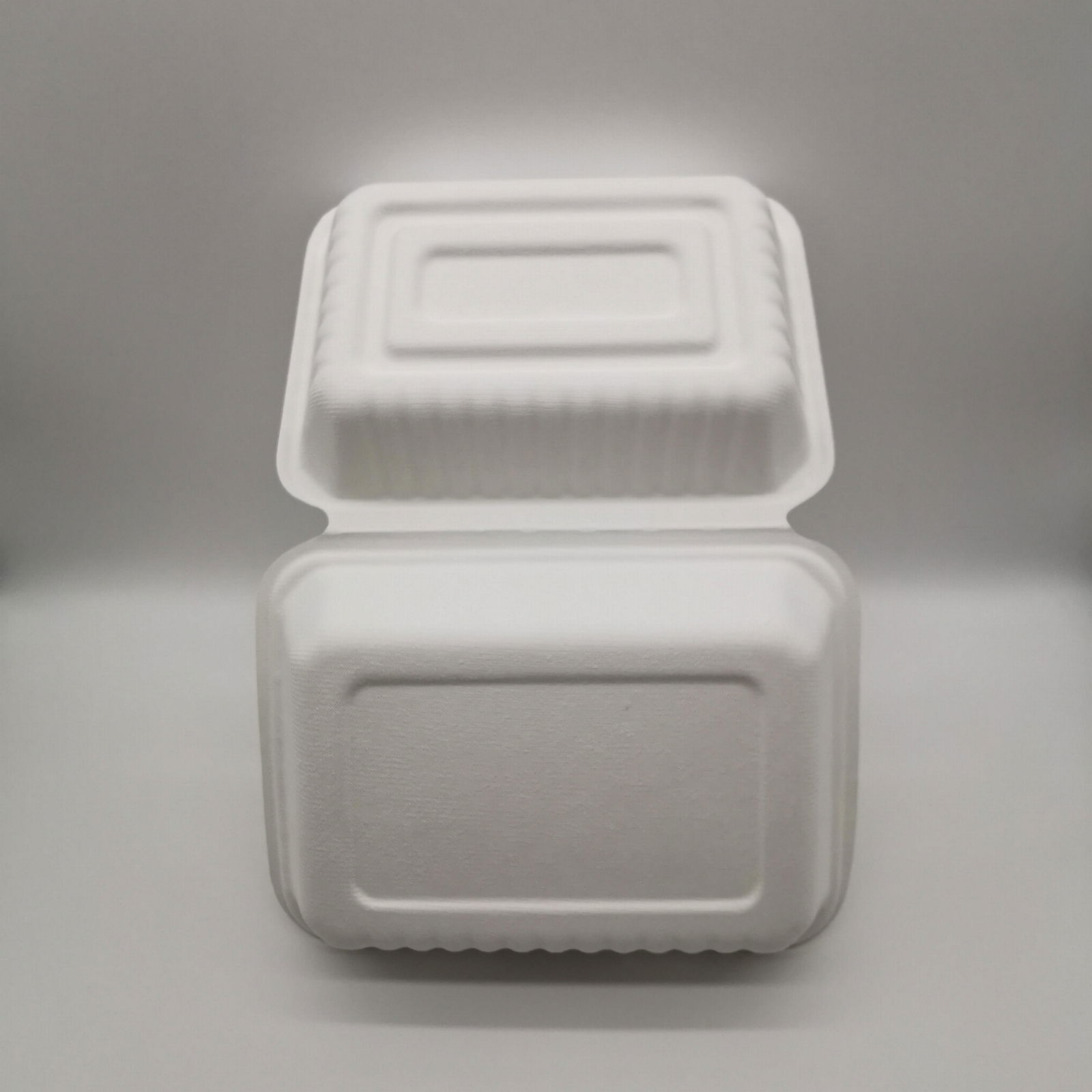 9"*6"Take Away Box for Restaurants  Bagasse Disposable Food Containers. 3