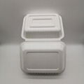 9"*6"Take Away Box for Restaurants  Bagasse Disposable Food Containers. 3