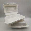 9"*6"Take Away Box for Restaurants  Bagasse Disposable Food Containers. 4