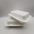 9"*6"Take Away Box for Restaurants  Bagasse Disposable Food Containers. 5